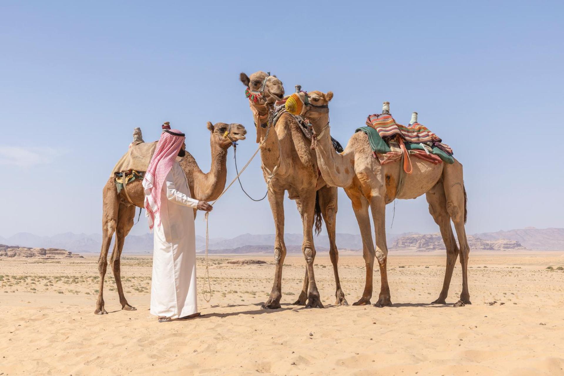 Wadi Rum Camp & Jeep Tour Buitenkant foto