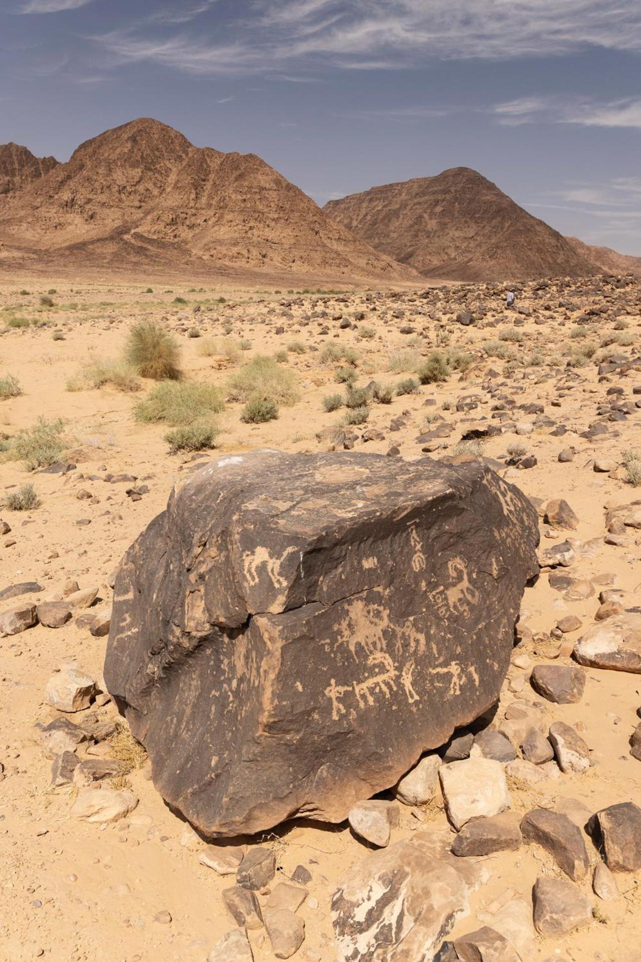 Wadi Rum Camp & Jeep Tour Buitenkant foto
