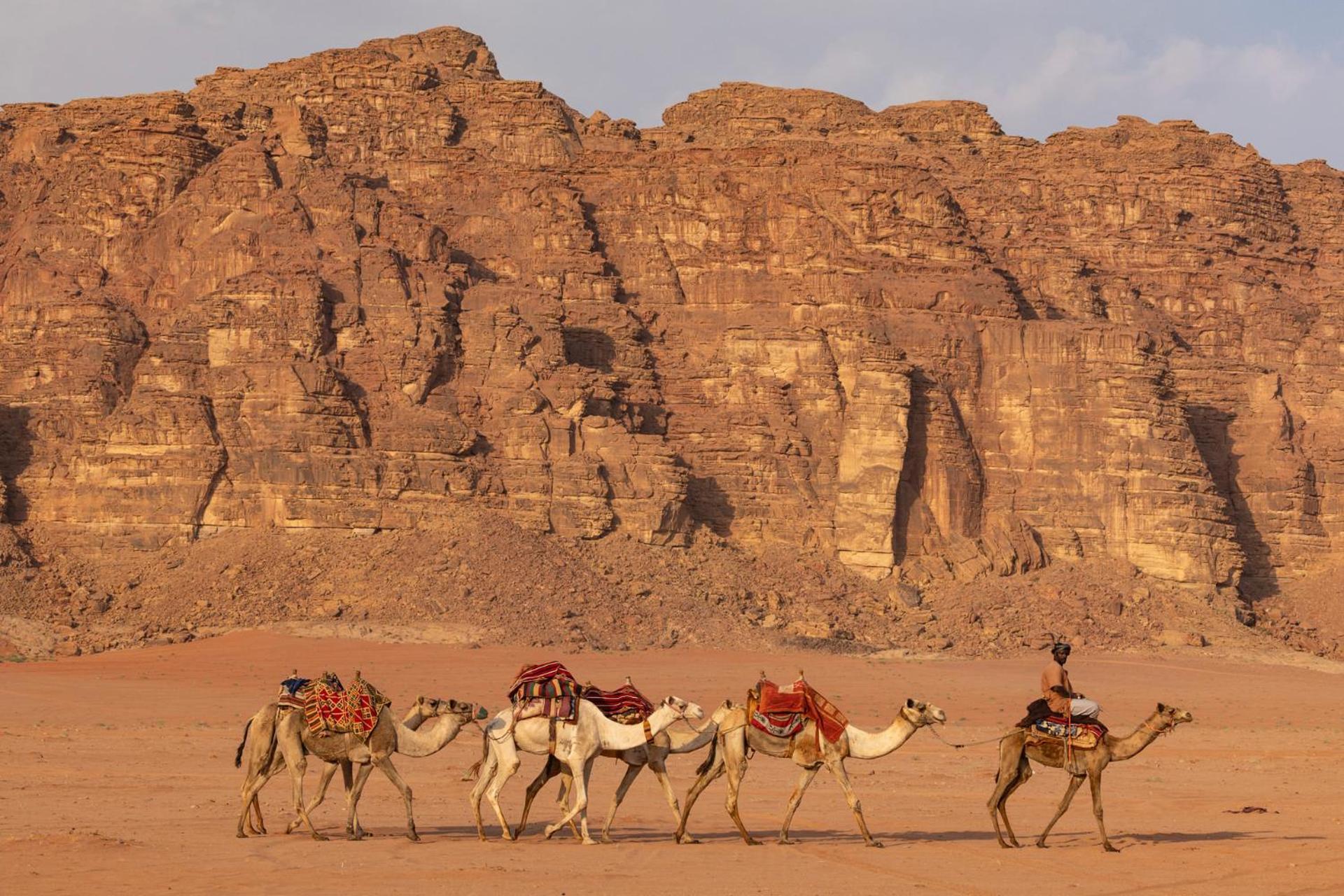Wadi Rum Camp & Jeep Tour Buitenkant foto