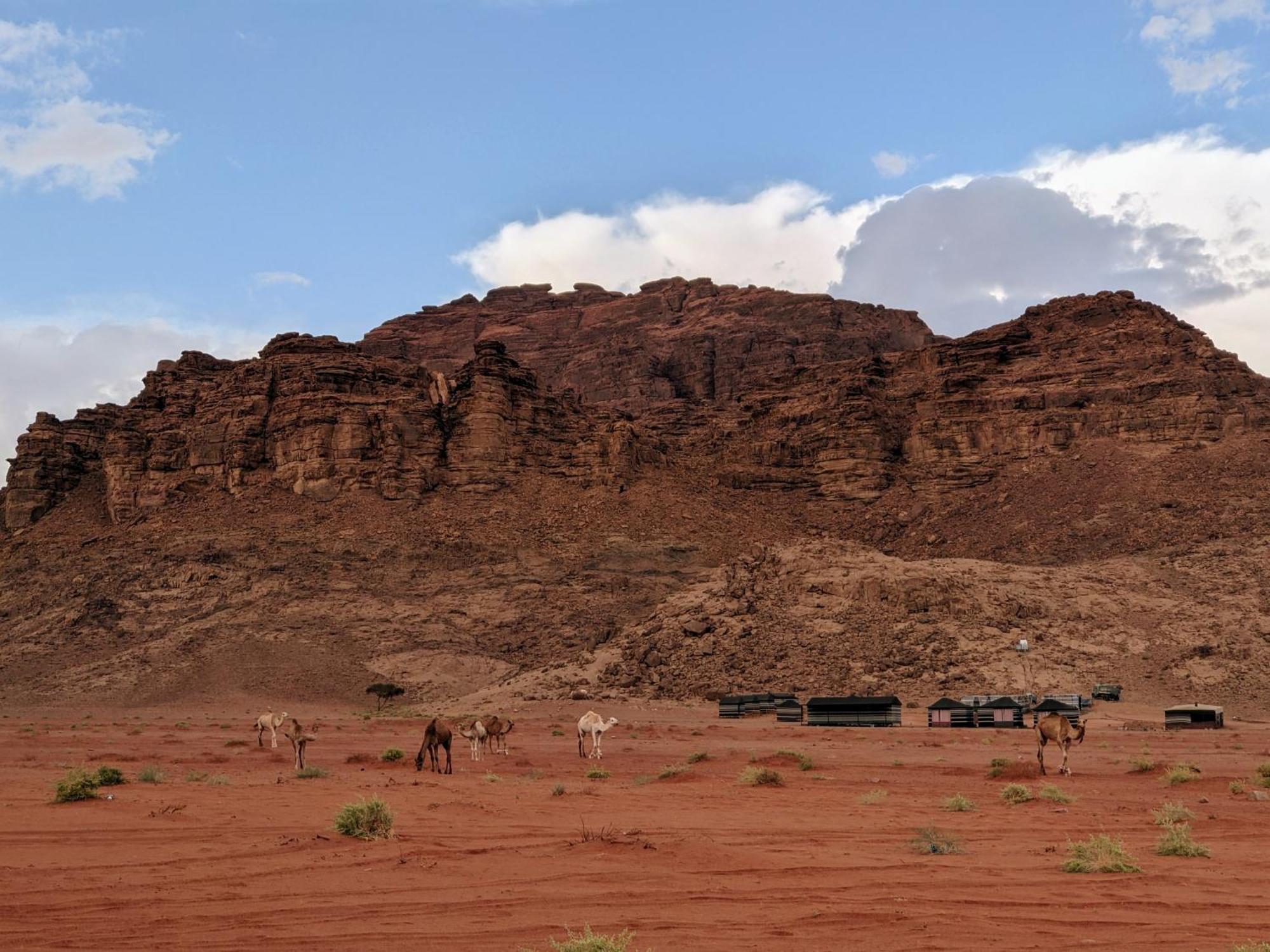 Wadi Rum Camp & Jeep Tour Buitenkant foto
